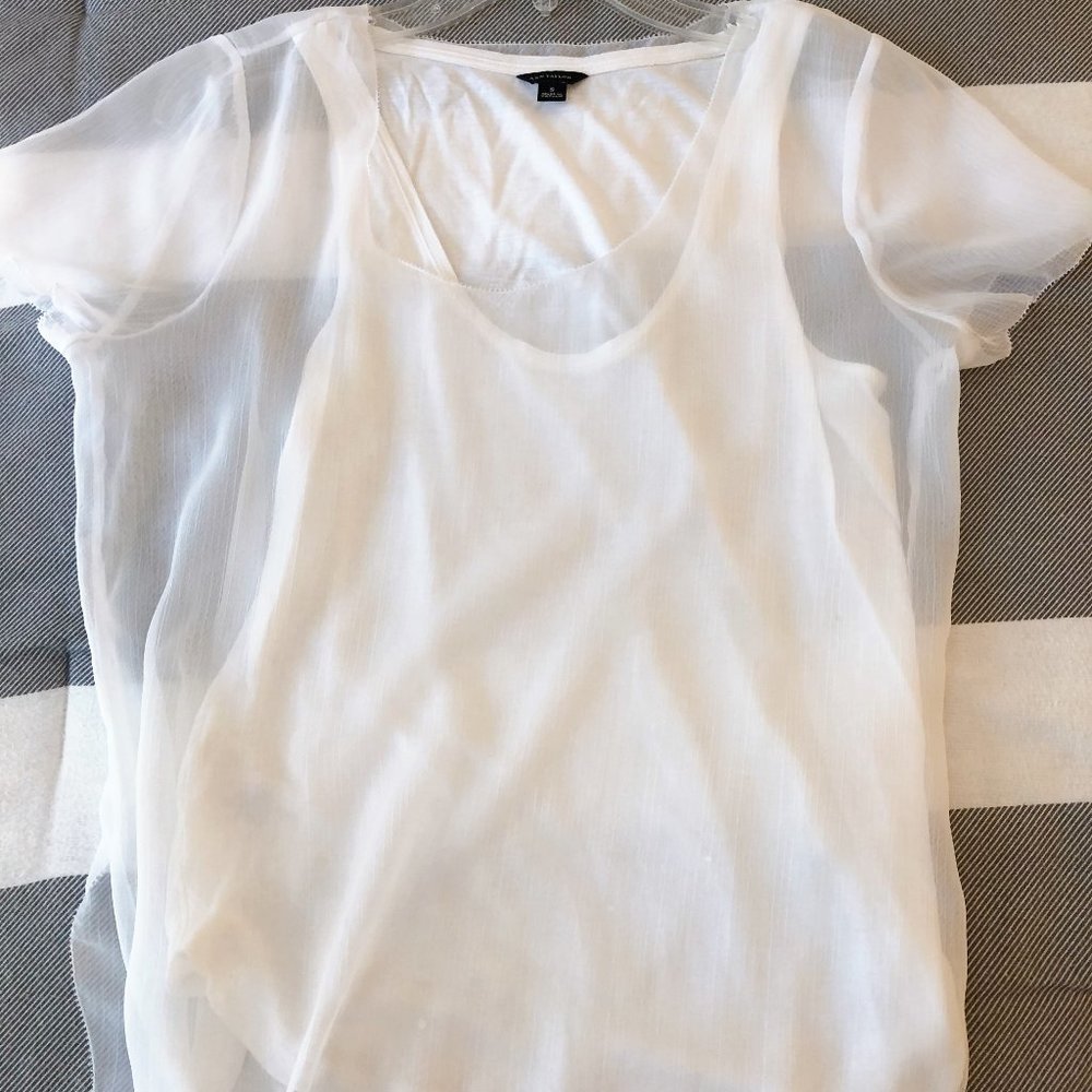 Ann Taylor white & sheer short sleeve blouse